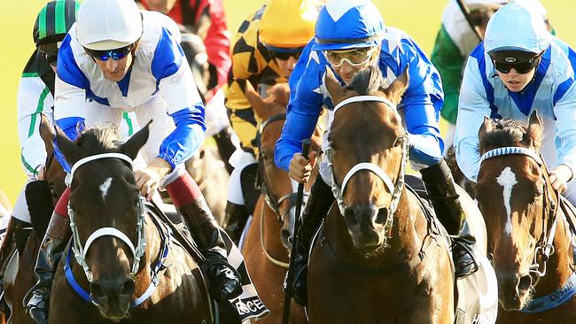 Epsom winner He’s Your Man (blue cap) returns in the Apollo. Picture: Mark Evans