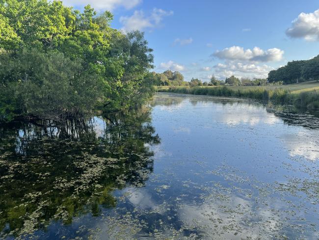 A photo at Sydney Park taken with an iPhone 12 Pro exhibits natural colours, detail and textures. Picture: Chris Griffith