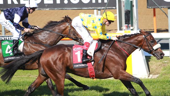 Craig Williams wins the 2011 Geelong Cup on Dunaden.