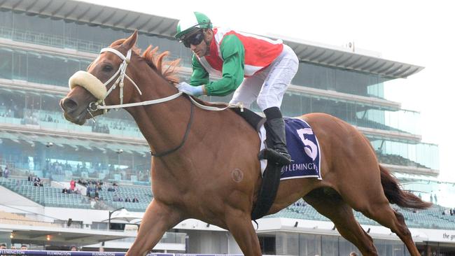 Craig atones for his luckless last start defeat to win the Rod Johnson Handicap at Flemington on Saturday Picture: Brett Holburt/Racing Photos via Getty Images