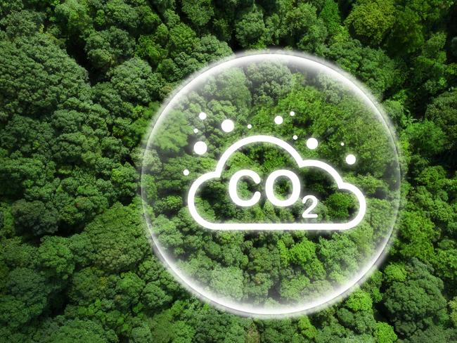 Reduce CO2 emissions to limit climate change and global warming. Co2 text in bubbles with forest.carbon dioxide CO2 molecules. Low greenhouse gas levels, decarbonize, net zero carbon dioxide footprint.Escape 18 June 2023Doc HolidayPhoto - iStock