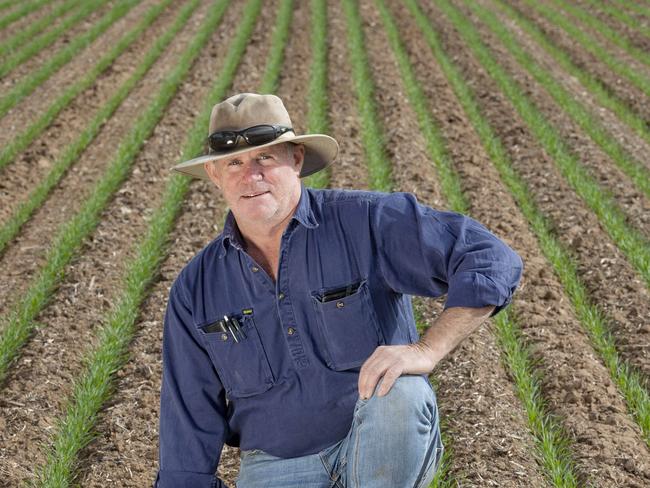 CROPS: John Carmichael sprayingPICTURED: John Carmichael spraying in his Scepter wheat cropPicture: Zoe Phillips