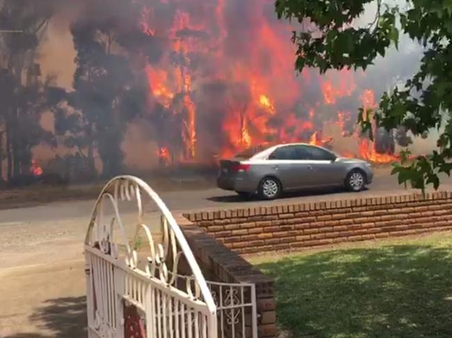 The out-of-control blaze tore along Fourth Ave, Llandilo. Picture: Nick Hansen