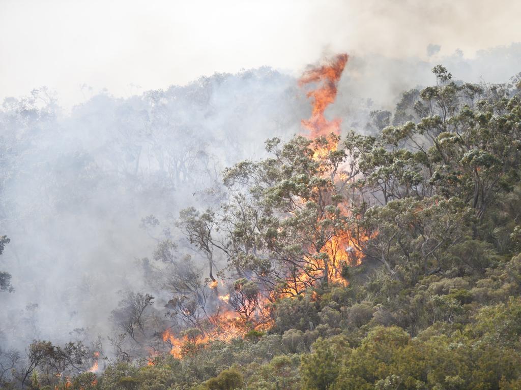 Kyeema Conservation Park burns | The Advertiser