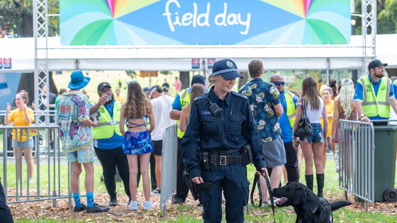 Field Day festival-goers welcome pill-testing trial