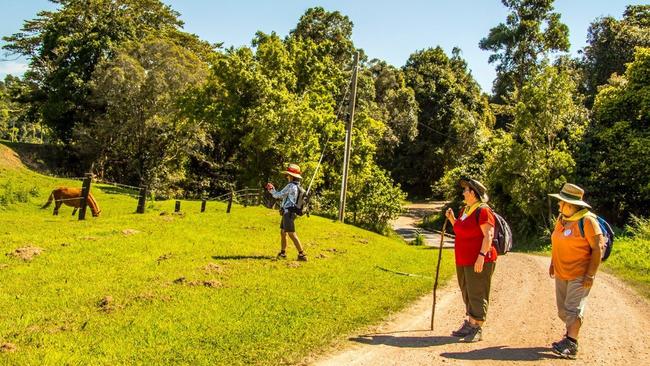 Under the new agreement, Tourism Noosa has been tasked with “dispersal” of tourists between the coast and the hinterland.