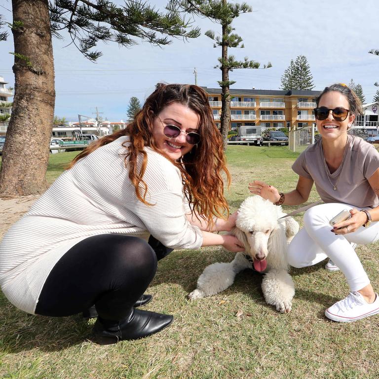 Faces of the Gold Coast. Mermaid Beach. William Kentos with dog Kirby and Maddie Schmid and Marika Pavlovic. Picture by Richard Gosling