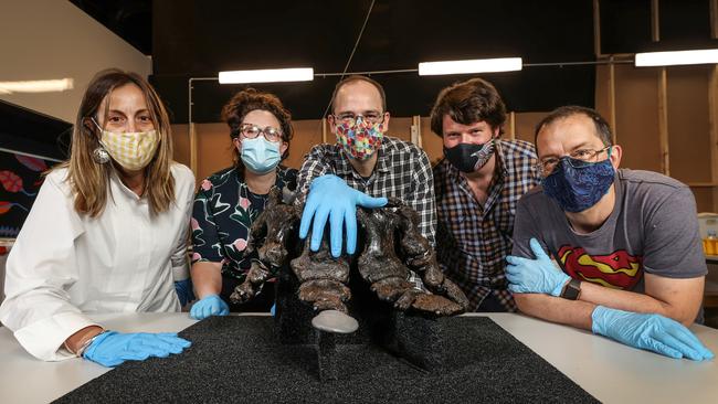 Nancy Ladas, Dani Measday, Tim Ziegler, Oskar Lindenmayer and Rolf Schmidt, who are working on the museum’s new triceratops. Picture: David Caird