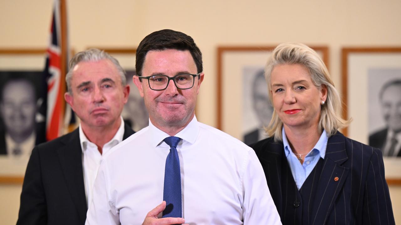‘We were pigeonholed’: Nationals leader reveals ambitious rebrand