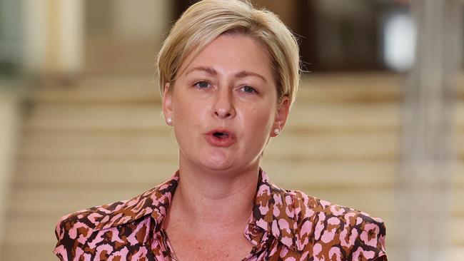 Minister for the Prevention of Domestic and Family Violence Amanda Camm. Picture: Supplied