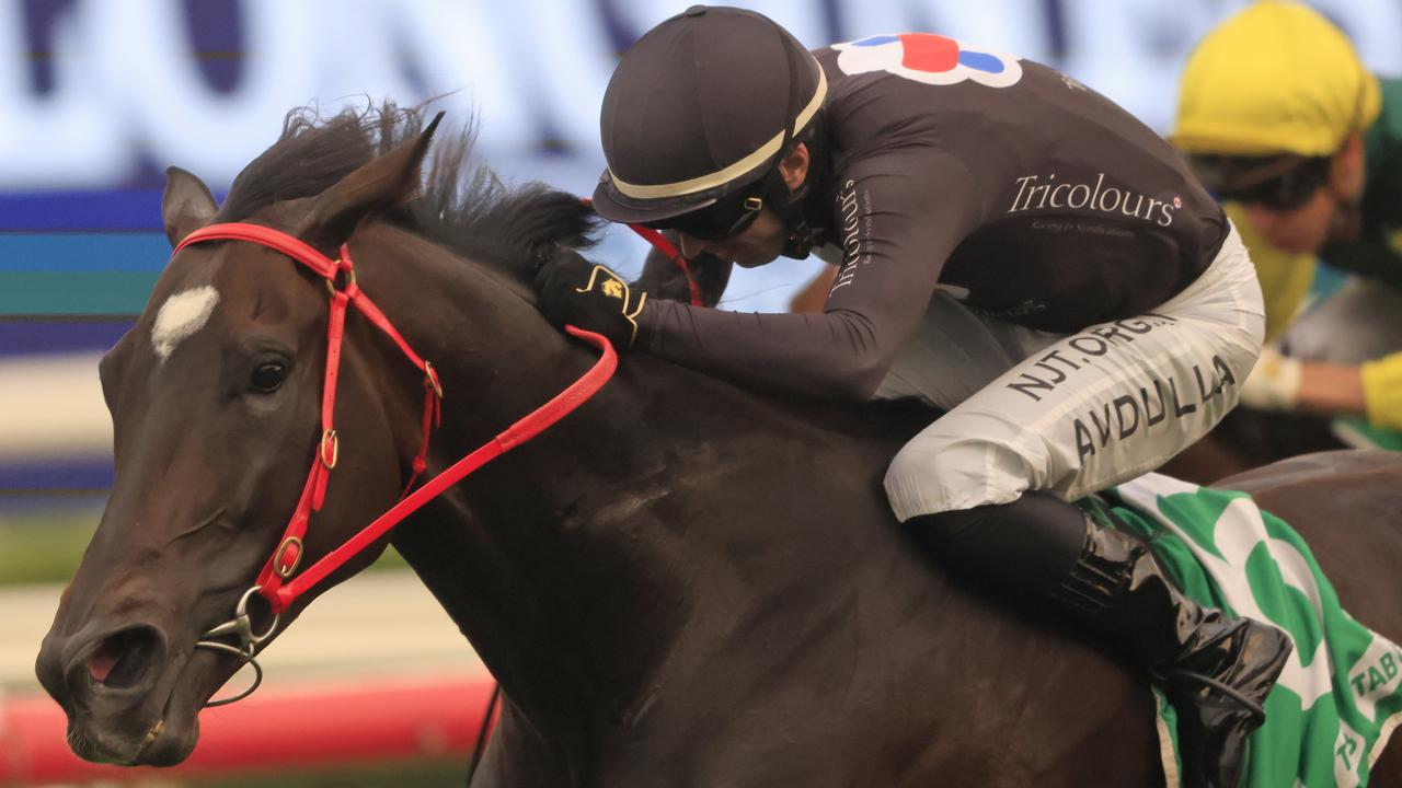 A dry track is the only concern for Fasika. Picture: Getty Images