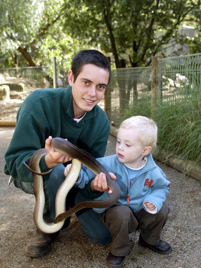 Park keeper Josh Carter showing Nicholas Deahm, 2, an olive python on May 19, 2005. Picture: Rohan Kelly