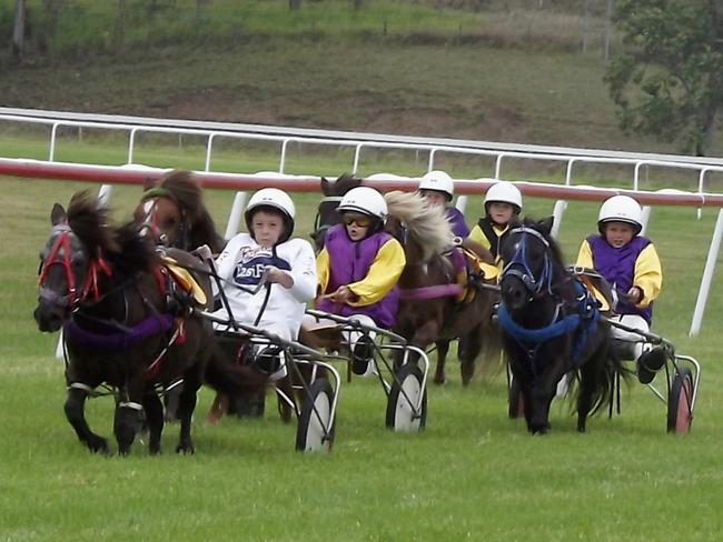 Could you please put the first shot in the system under the headline mini-trotters at Kilcoy. Many thanks.