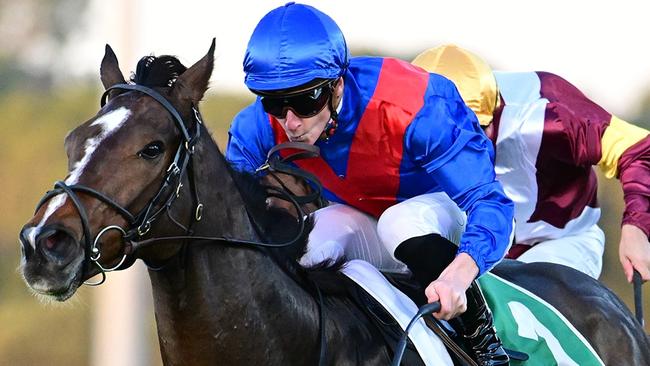 James McDonald fights out a tough finish to win the Group 2 Hollindale Stakes aboard Zaaki at the Sunshine Coast. Picture: Grant Peters - Trackside Photography.