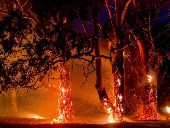 The Lancefield fire rips through bushland. Picture: Jason Edwards