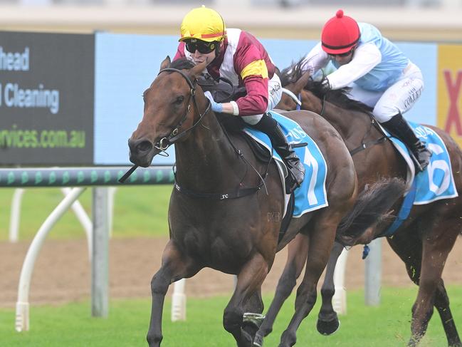 Arabian Summer puts herself in Magic Millions contention by winning the Gold Pearl at the Gold Coast for jockey Harry Coffey. Picture: Grant Peters - Trackside Photography