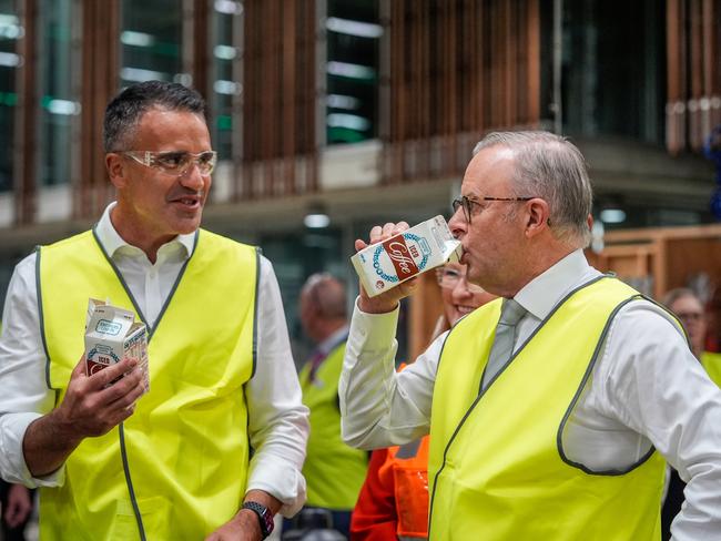 Mali and Albo’s iced coffee moment is proof game has changed