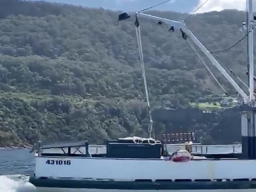 The shark was pulled out of the water with a winch. Picture: Facebook