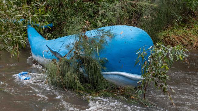 Brewery Whale found near Thebarton. Picture: Ben Clark