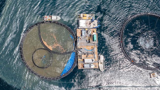 Salmon pens in Long Bay, Tasman Peninsula. Picture: supplied