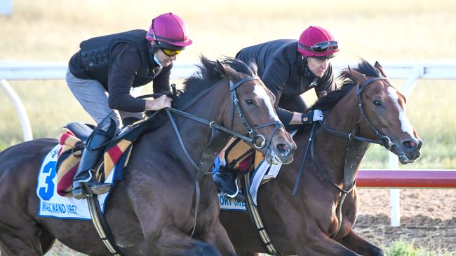 Armory (right) gallop with stablemate Magic Wand at Werribee. Picture: Racing Photos via Getty Images