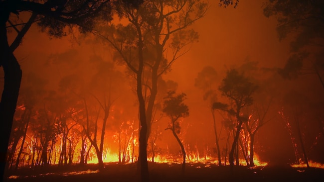 The Black Summer bushfires of 2019-2020 raged through 18 million hectares, burned down 3000 homes, killed 33 people, including nine firefighters, and more than one billion animals.