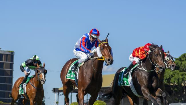 LEADING HOPE: Soxagon (red and blue silks) is edged out at Eagle Farm on June 6. He looks to go one better at Doomben today. Photo: AAP Image/Michael McInally/Racing Queensland.