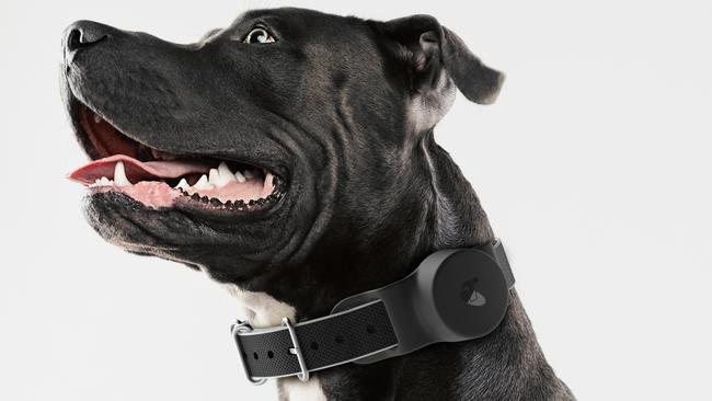 You can set up the device to get alerts when your pet enters or exits a particular area.