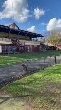 Fitzroy Footy Club slams City of Yarra over ground redevelopment delays