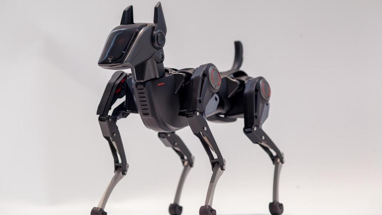 Hengbot's dog robot, Sirius. Picture: Supplied