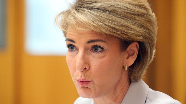 Michaelia Cash at Senate estimates today.