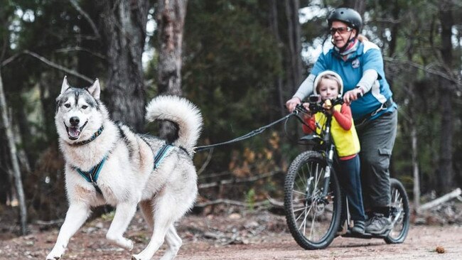 TRIBUTE: Family, friends, and the Western Australia sled dog community are in mourning after Monique Hall tragically lost her life in a car crash, while she was moving back to her home state, Queensland, with her young family. Pic: Supplied