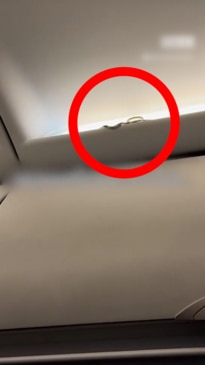 Snake on a plane, Thailand edition
