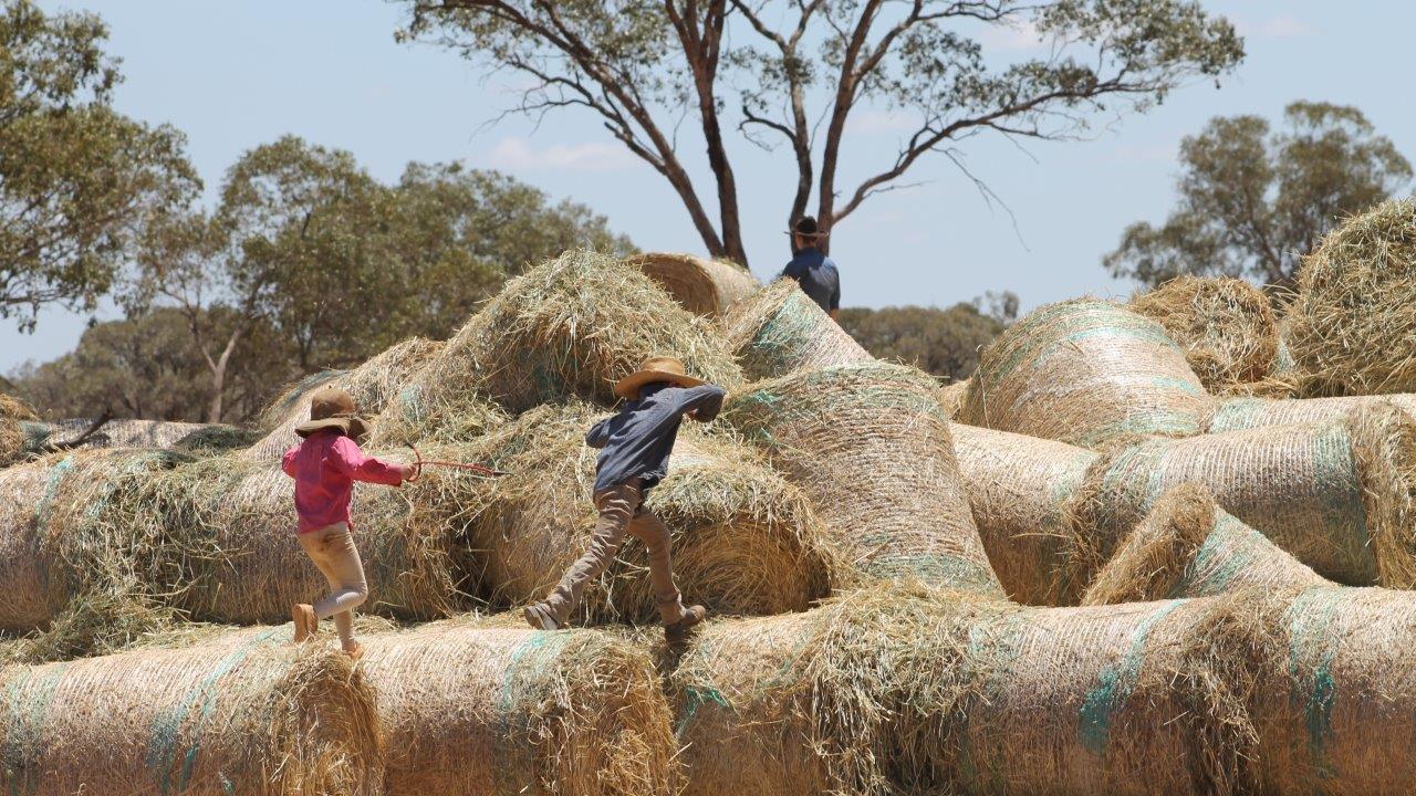 Local farming kids play on the bales during this month's Rural Aid drop in Mitchell, QLD. Picture: supplied