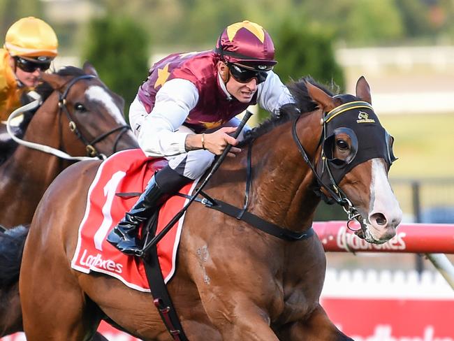 Streets of Avalon ridden by Zac Spain wins the Ladbrokes Australia Stakes at Moonee Valley Racecourse on January 22, 2021 in Moonee Ponds, Australia. (Brett Holburt/Racing Photos via Getty Images)