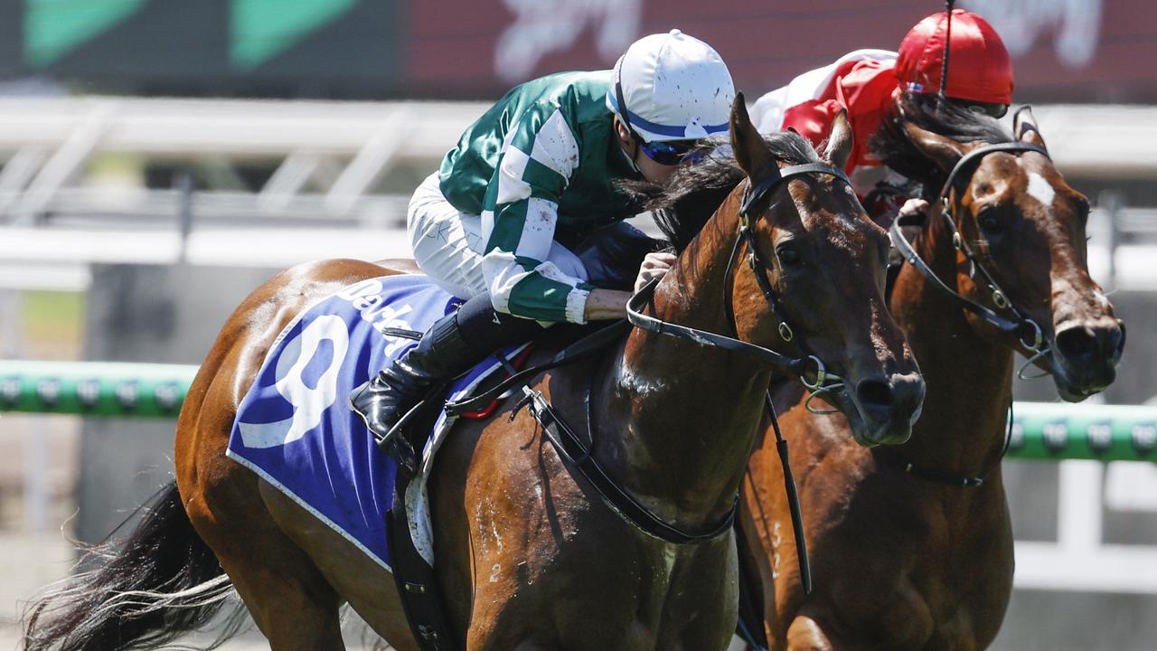 Bacash (red) will audition for a Magic Millions 2YO Classic ticket on Saturday at Caulfield, while Tycoon Star (green and white) is being aimed at the Blue Diamond series. Picture: Michael Klein