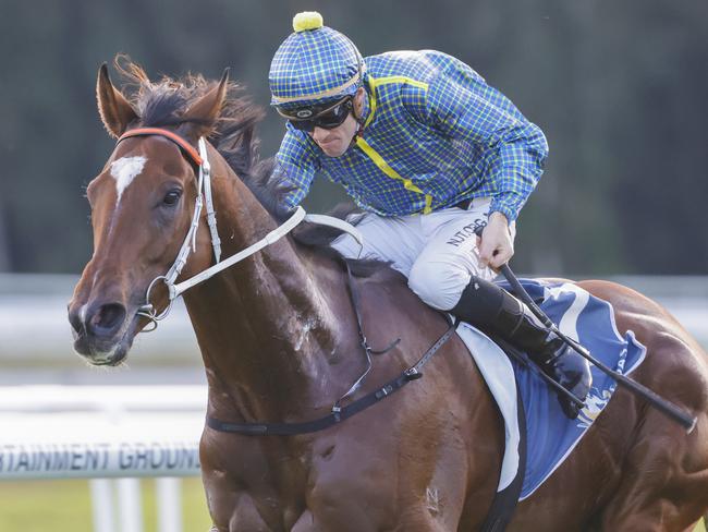 GOSFORD, AUSTRALIA - MAY 07: Jay Ford on Rustic Steel wins race 9 the The Coast during Gosford Gold Cup Day at Gosford Race Club on May 07, 2022 in Gosford, Australia. (Photo by Jenny Evans/Getty Images)