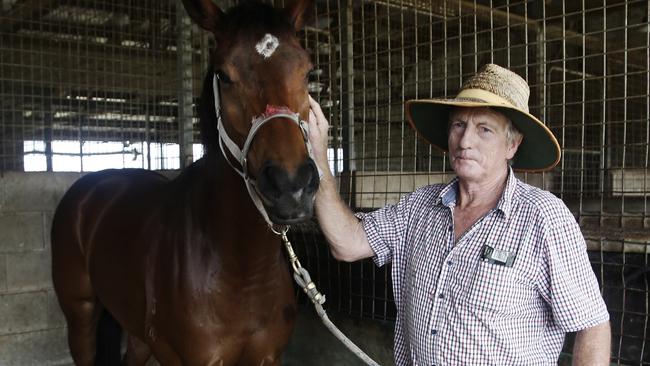 Innisfail horse trainer Greg Strickland was Melbourne Storm fullback Billy Slater's first employer. PICTURE: MATT NICHOLLS