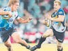 SYDNEY, AUSTRALIA - MAY 03: Michael Hooper of the Waratahs in action during the round 12 Super Rugby match between the Waratahs and the Hurricanes at Allianz Stadium on May 3, 2014 in Sydney, Australia. (Photo by Mark Metcalfe/Getty Images)