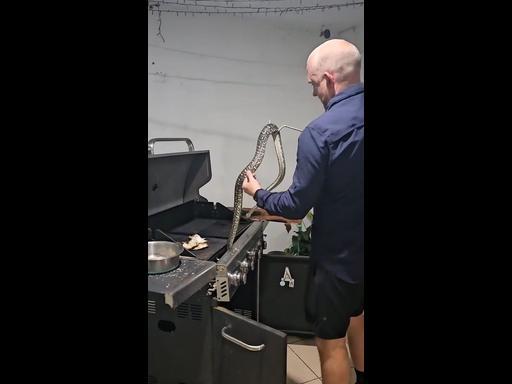 Aussie snake catcher finds huge carpet python in BBQ