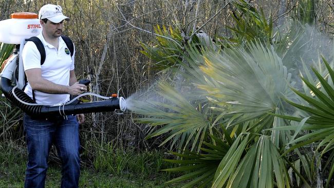 Large parts of north Queensland will be blanketed with insecticide to stop the spread of the Zika virus, the Federal Government has announced. Picture: AP