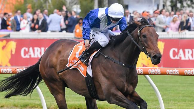 Alligator Blood wins the Might And Power at Caulfield ahead of Saturday’s Cox Plate. Picture: Reg Ryan / Racing Photos