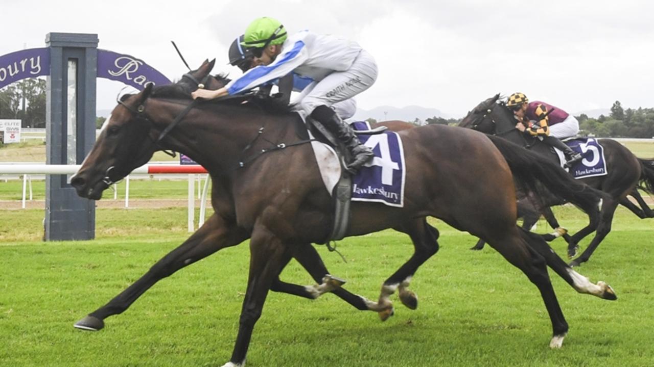 Warwick Farm preview: Handy mare Hellbent on maintaining hot form