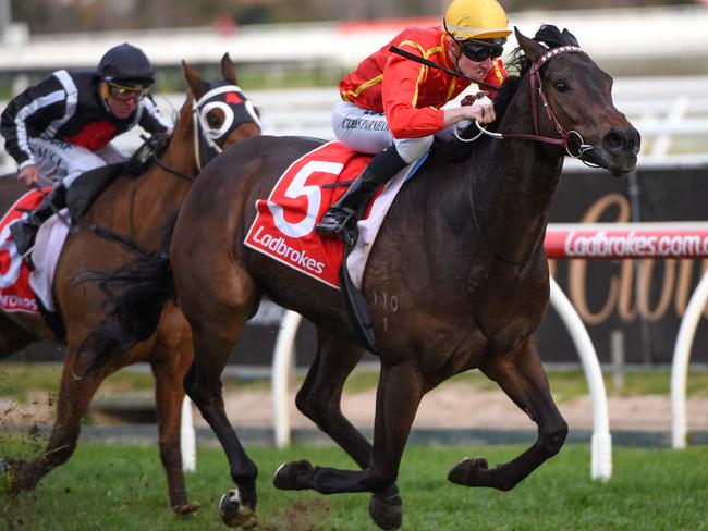 Voodoo Lad goes to Moonee Valley in good form. Picture: Getty Images