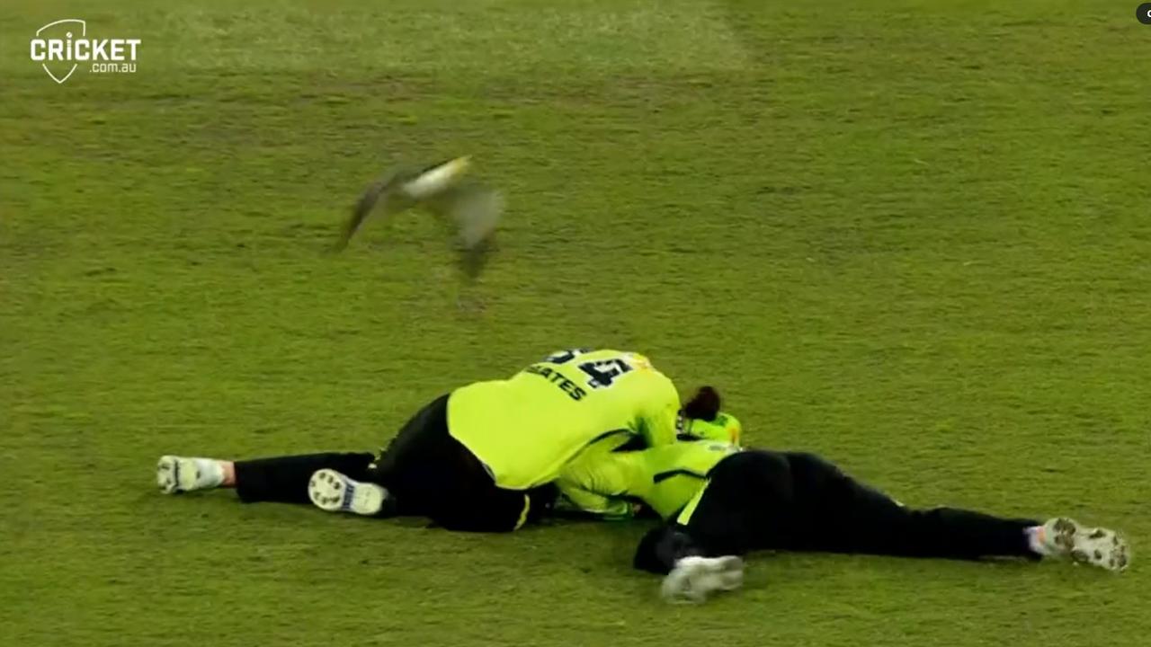 Two Thunder fielders duck for cover as the birds swoop. Pic: Fox Sports