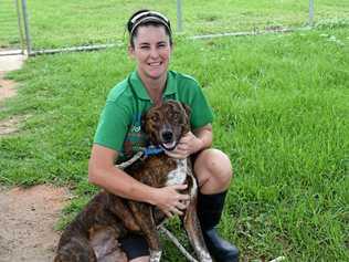 RSPCA animal attendant Wendy Stratford with Barney (currently up for adoption at Kingaroy RSPCA). Picture: Madeline Grace