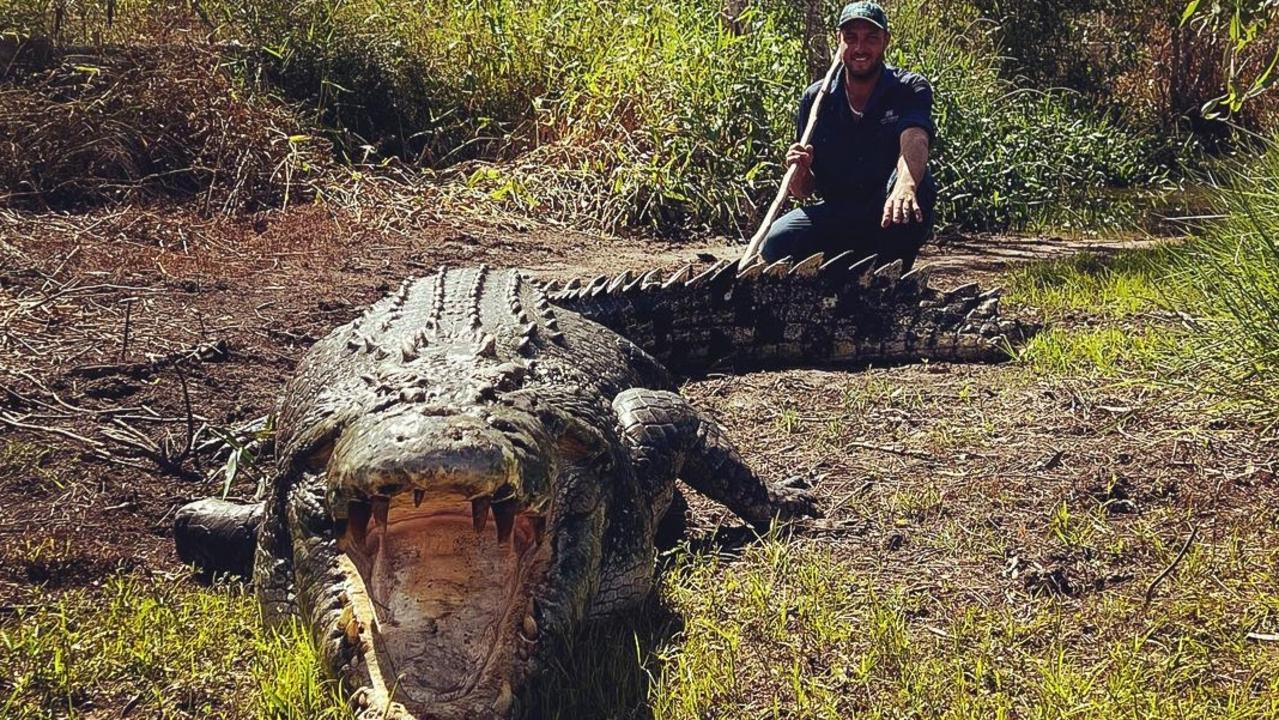 Crocodile egg collector fought 5m male croc off mate with machete | The  Australian