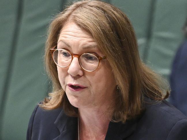 CANBERRA, AUSTRALIA, NewsWire Photos. MARCH 27, 2024: Catherine King during Question Time at Parliament House in Canberra. Picture: NCA NewsWire / Martin Ollman