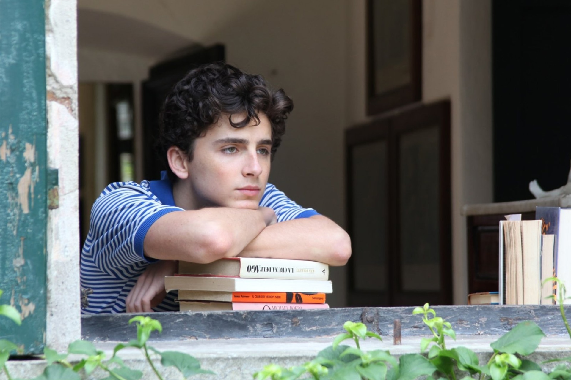 <p><em>Image credit: Sony Pictures</em></p><h3><i>Call Me by Your Name </i>(2017)</h3><p>One of Timoth&eacute;e Chalamet&rsquo;s career defining roles,&nbsp;<em>Call Me by Your Name&nbsp;</em>is a queer romantic drama based off the bestselling book of the same name by Andr&eacute; Aciman. Following Chalamet&rsquo;s character Elio, a teenager who develops feelings for his father&rsquo;s university assistant Oliver over the course of a summer spent holidaying in Italy, this alt-indie success depicts what it&rsquo;s like to come to terms with your sexuality, and experiencing your first queer love and heartbreak.</p>