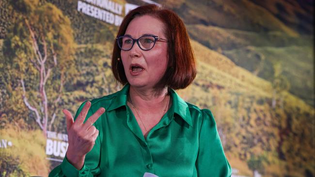 Minerals Council of Australia chief executive Tania Constable. Picture: Colin Murty